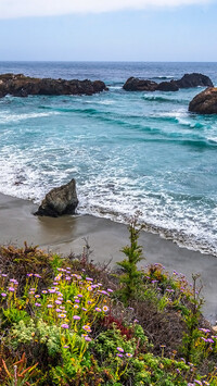 Wybrzeże Big Sur w Kalifornii