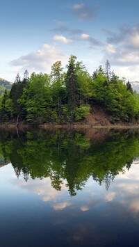 Wysepka z drzewami na jeziorze