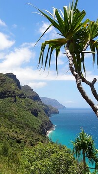 Wyspa Kauai na Hawajach