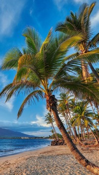 Wyspa Maui na Hawajach