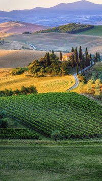 Wzgórza z plantacjami w Toskanii