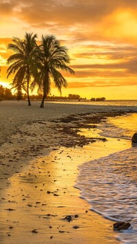 Zachód słońca nad plażą Smathers Beach na Florydzie