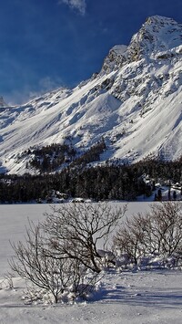 Zamarznięte jezioro i Alpy Szwajcarskie w tle