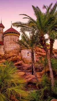 Zamek Disneyland