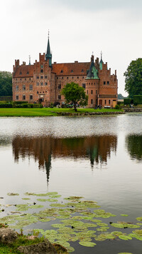 Zamek Egeskov na wyspie Fiona w Danii