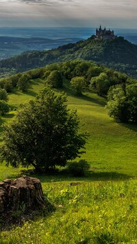 Zamek Hohenzollern na zalesionej górze