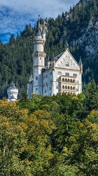 Zamek Neuschwanstein pośród drzew