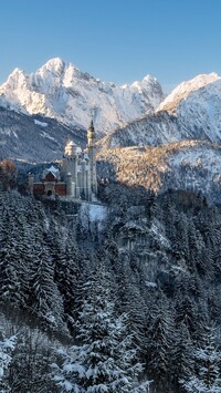 Zamek Neuschwanstein pośród drzew