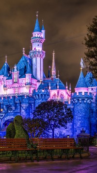 Zamek w Disneyland