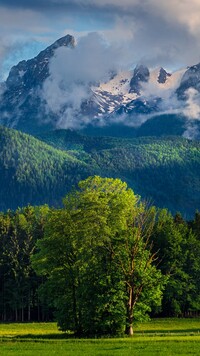 Zamglone Alpy Berchtesgadeńskie