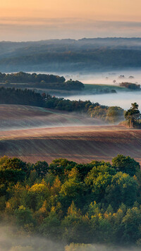 Zamglone drzewa i pola na wzgórzach o poranku
