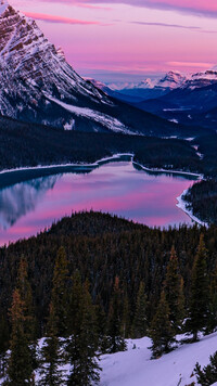 Zaróżowione niebo nad jeziorem Peyto Lake w Parku Narodowym Banff