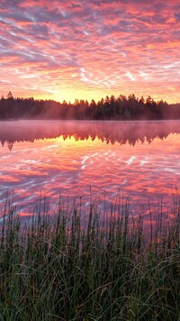 Zaróżowione niebo wschodzącego słońca nad jeziorem Etang de la Gruere