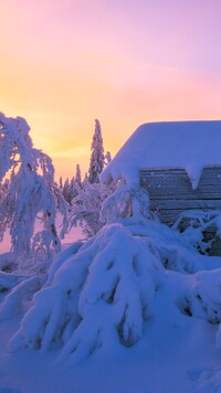 Zasypane śniegiem drzewa i drewniany dom