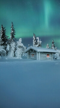 Zasypany śniegiem domek pod lasem