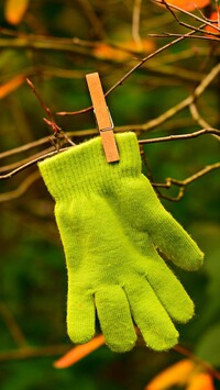 Zielona rękawiczka zawieszona na gałązce