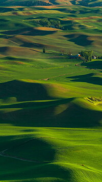 Zielone wzgórza i pola w regionie Palouse