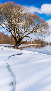 Zima nad rzeką Emajogi w Estonii