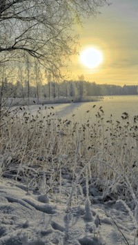 Zimowy pejzaż nad rzeką o zachodzie słońca