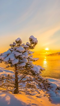 Zimowy wschód słońca nad jeziorem Ładoga