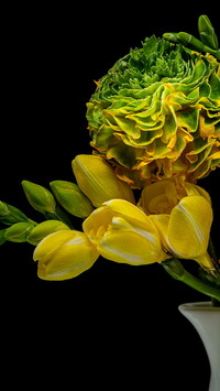 Żółto-zielony kwiat i frezja