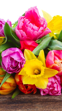 Żonkile i tulipany