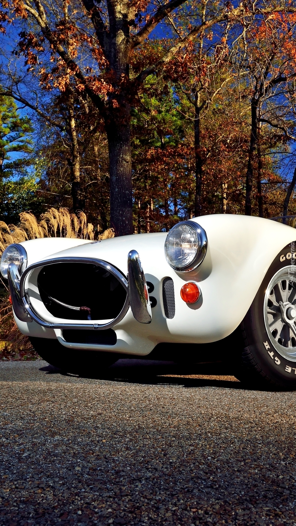 AC Cobra 427 Shelby