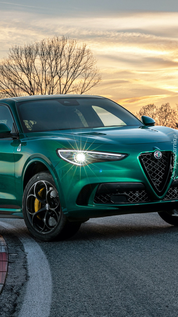 Alfa Romeo Stelvio Quadrifoglio