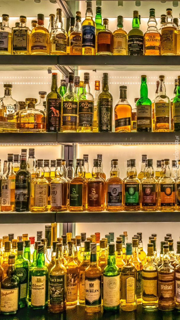 Alkohole na półkach
