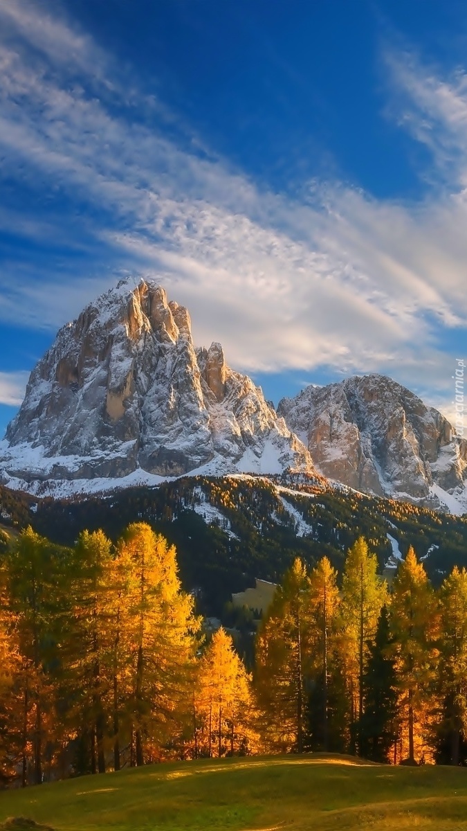 Alpejskie góry i lasy jesienną porą