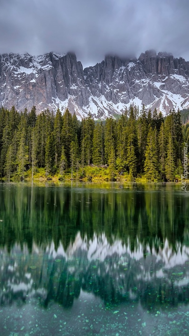 Alpy i drzewa nad jeziorem Lago di Carezza