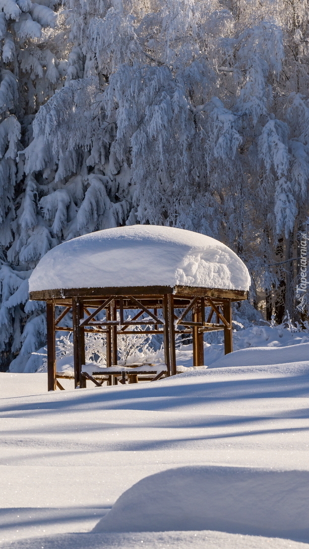 Altanka pod śnieżną czapą