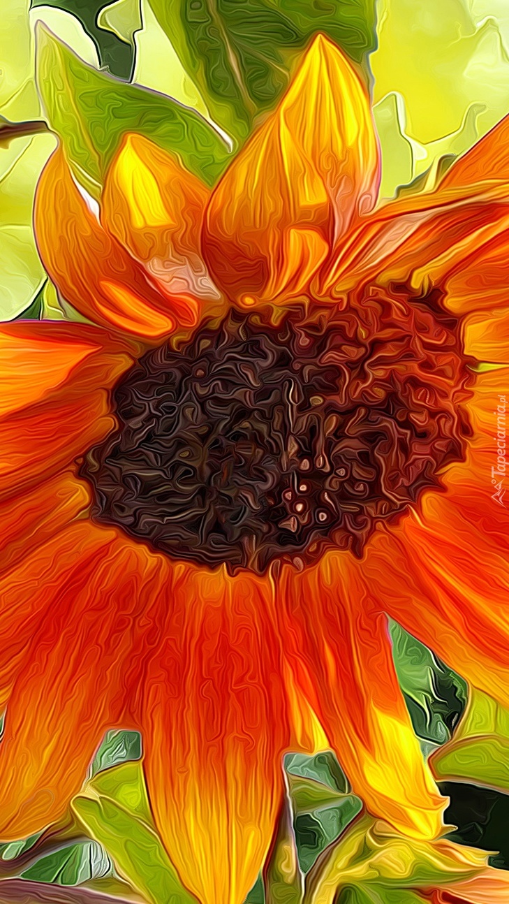 Artystyczny słonecznik