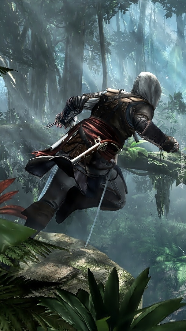 Assassins Creed 4