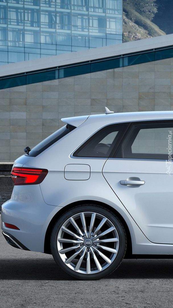 Audi A3 Sportback e-tron