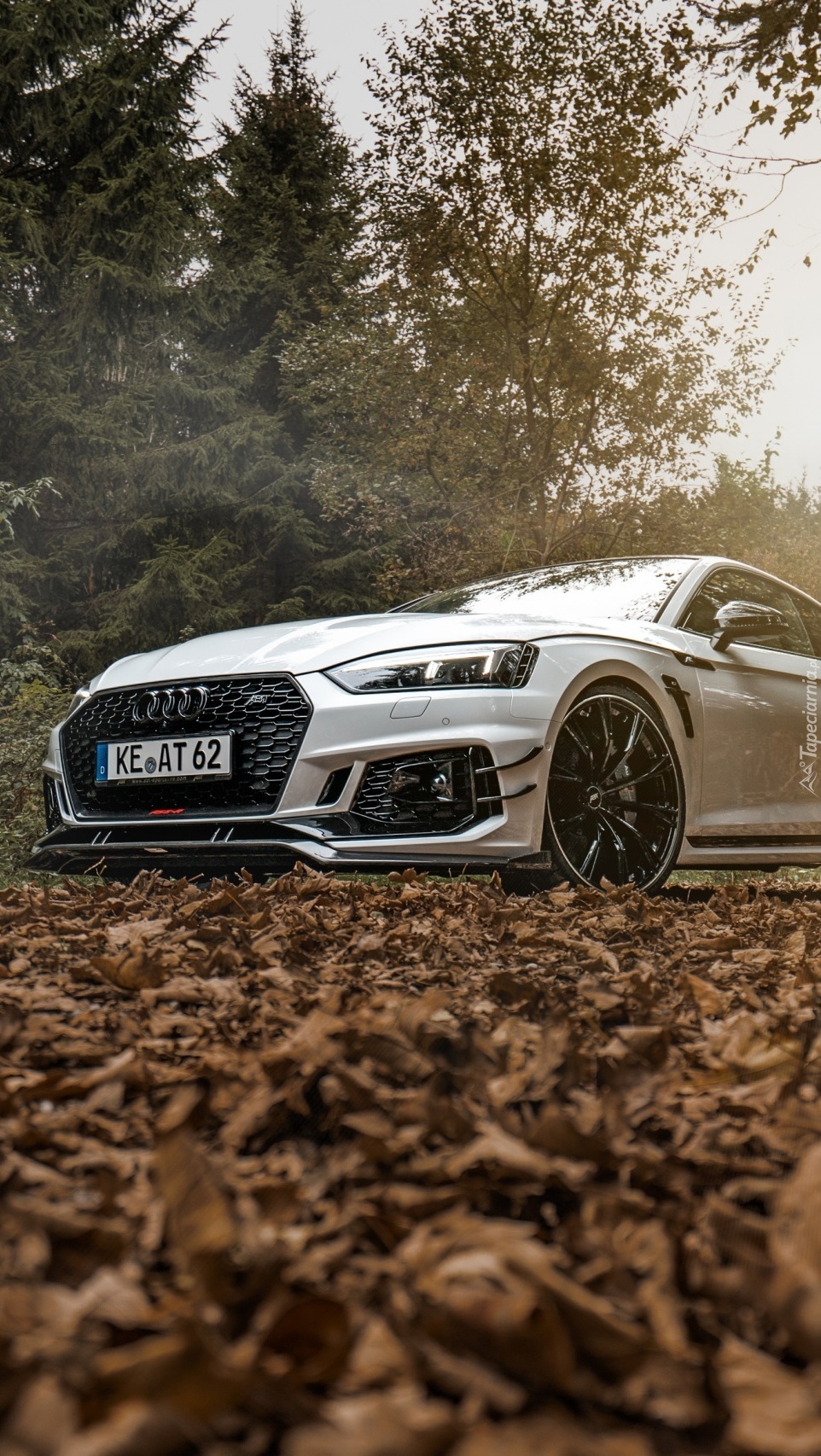 Audi RS5 ABT Sportsline