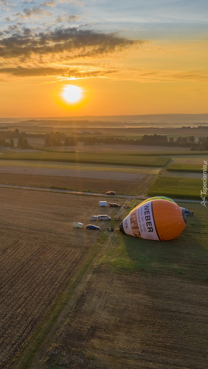 Balony na polu