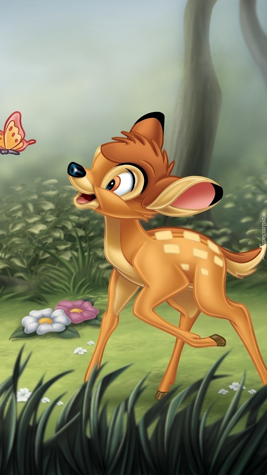 Bambi  z motylkiem