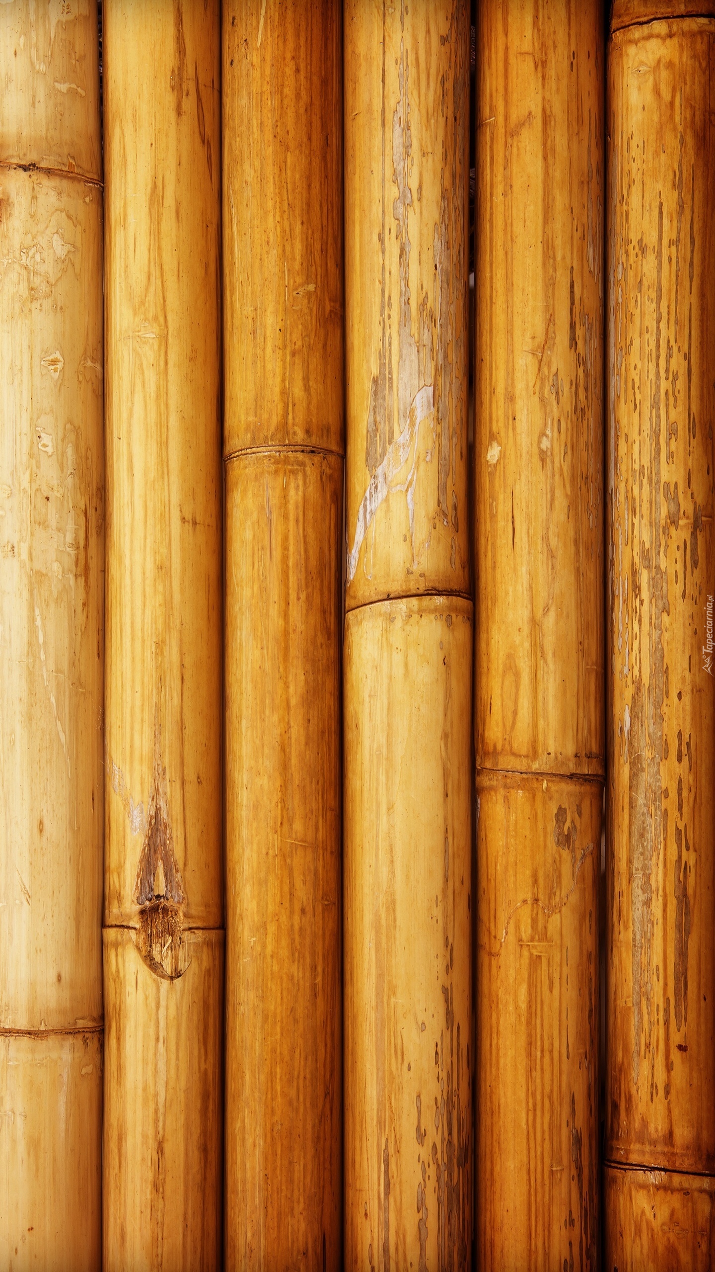 Bambusowa tekstura