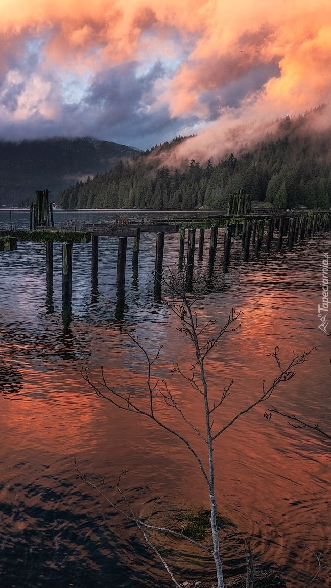 Barnet Marine Park o zachodzie słońca