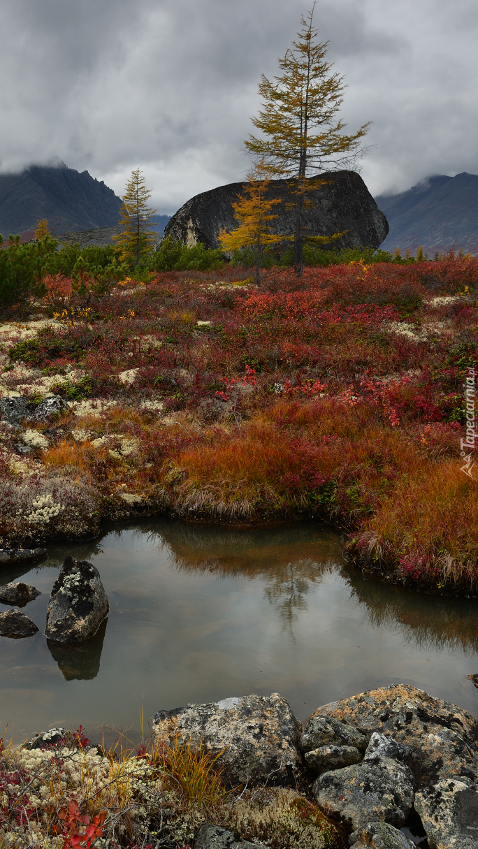 Barwy jesieni w górach Kołymskich