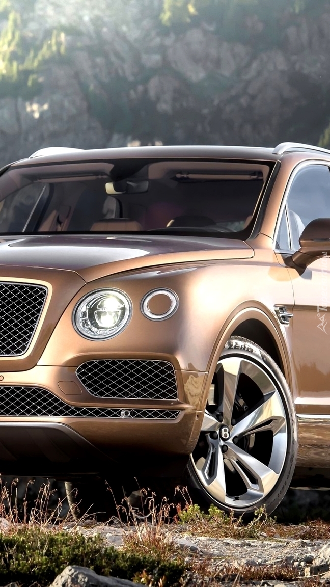 Bentley Bentayga przodem