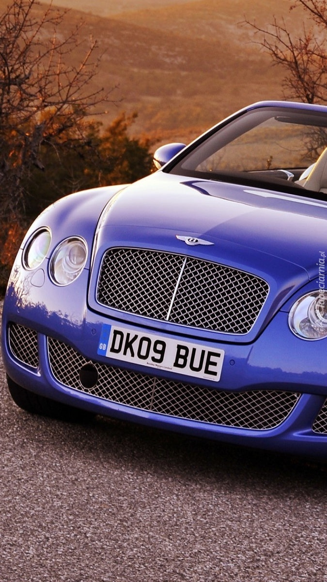 Bentley Continental GTC