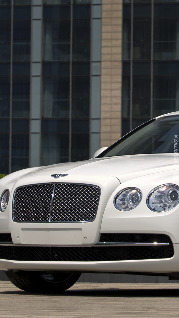 Bentley Flying przodem