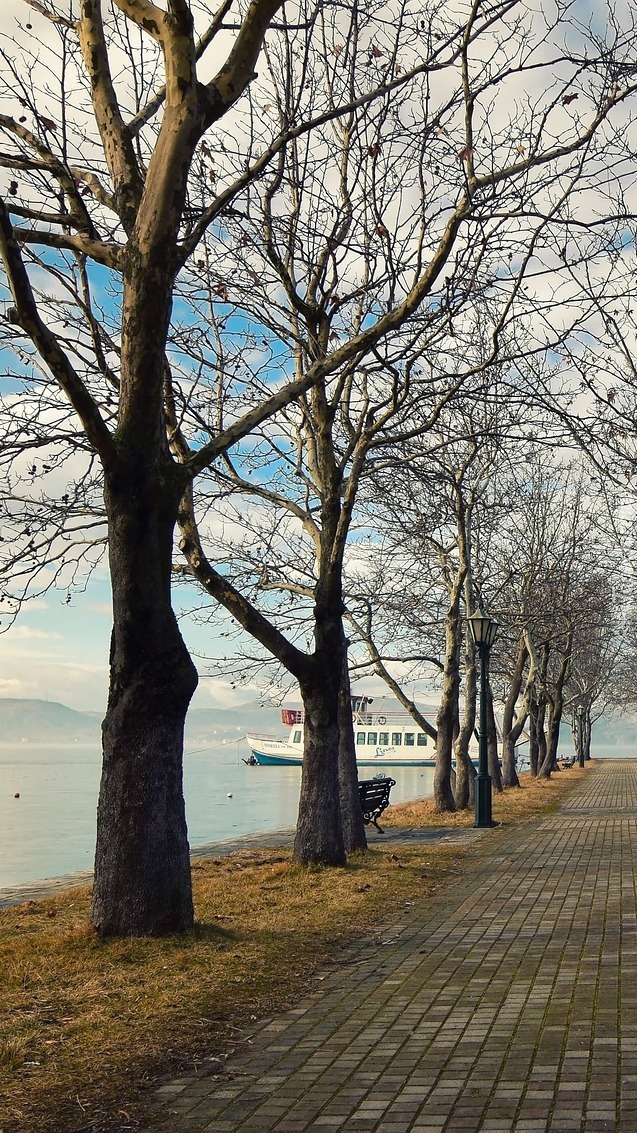 Bezlistne drzewa na promenadzie nad jeziorem