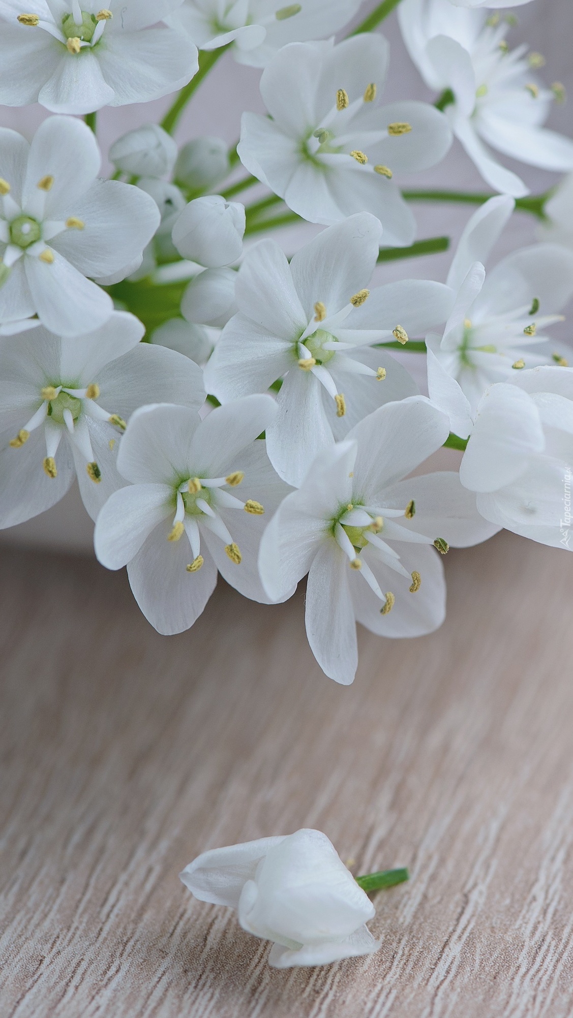 Biała kwiatowa finezja