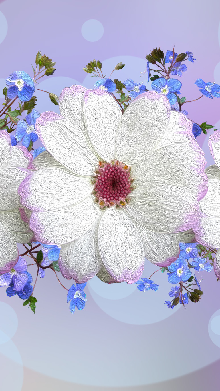 Białe i niebieskie kwiaty