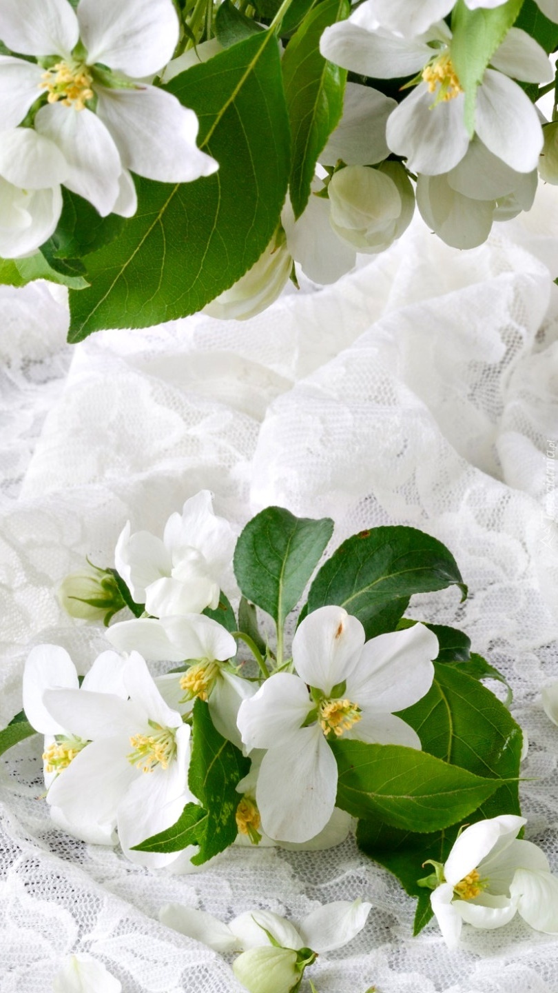 Białe kwiatki na tkaninie