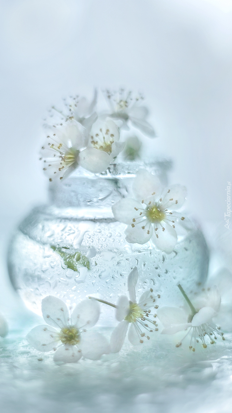 Białe kwiatki w wazoniku