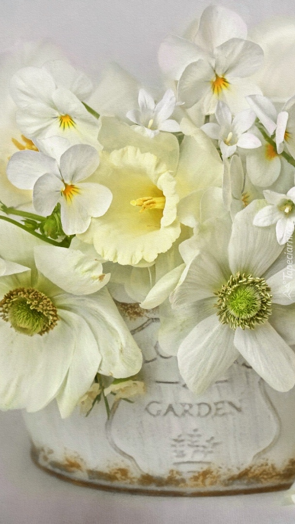 Białe kwiaty w doniczce